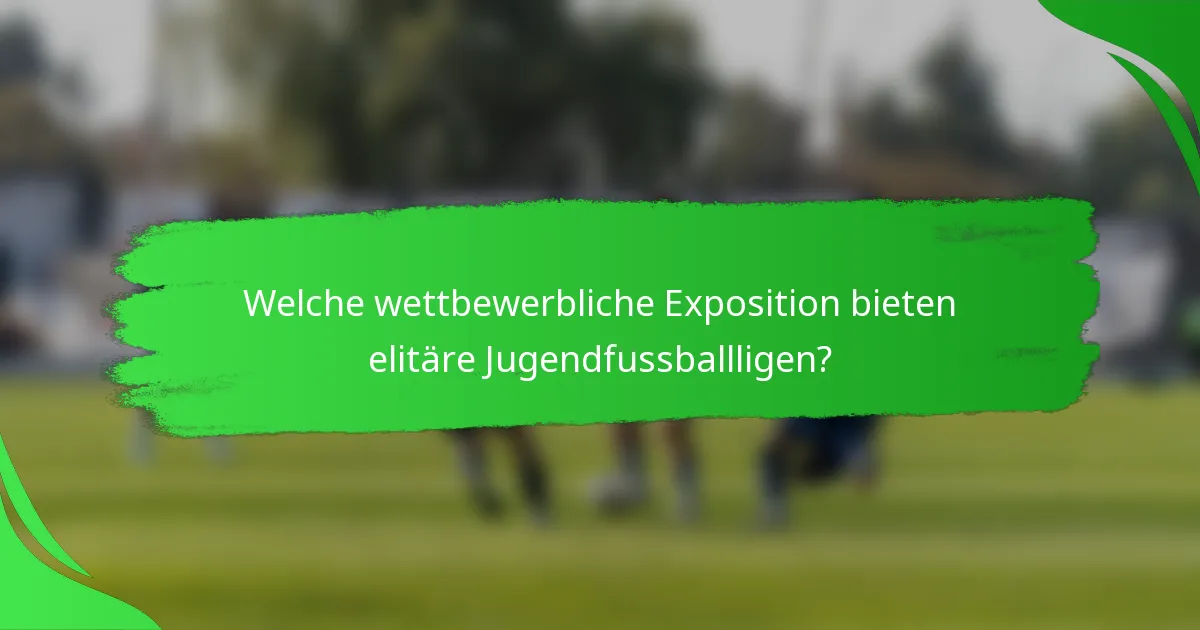 Welche wettbewerbliche Exposition bieten elitäre Jugendfussballligen?