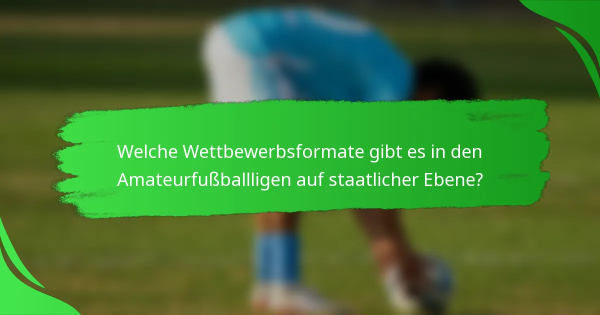 Welche Wettbewerbsformate gibt es in den Amateurfußballligen auf staatlicher Ebene?